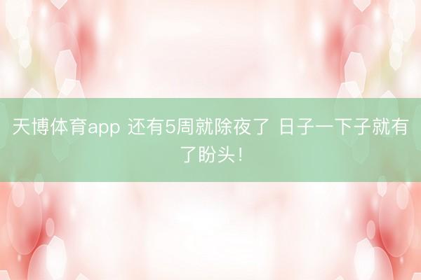 天博体育app 还有5周就除夜了 日子一下子就有了盼头！