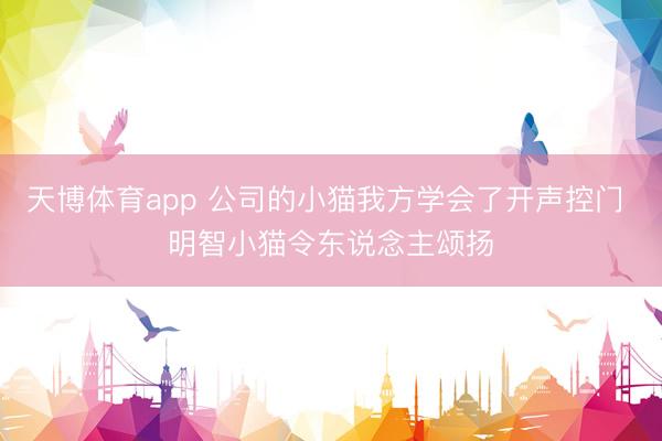 天博体育app 公司的小猫我方学会了开声控门 明智小猫令东说念主颂扬