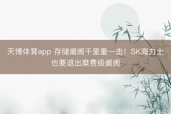 天博体育app 存储阛阓千里重一击!SK海力士也要退出糜费级阛阓