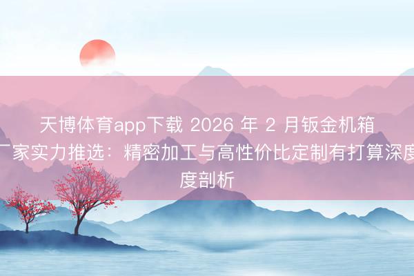 天博体育app下载 2026 年 2 月钣金机箱机柜厂家实力推选:精密加工与高性价比定制有打算深度剖析