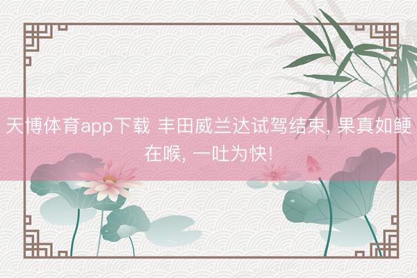 天博体育app下载 丰田威兰达试驾结束， 果真如鲠在喉， 一吐为快!
