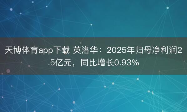 天博体育app下载 英洛华：2025年归母净利润2.5亿元，同比增长0.93%