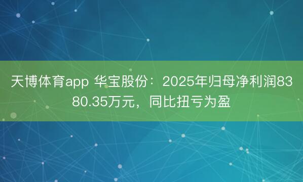 天博体育app 华宝股份：2025年归母净利润8380.35万元，同比扭亏为盈