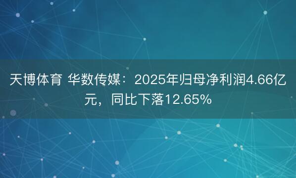 天博体育 华数传媒：2025年归母净利润4.66亿元，同比下落12.65%