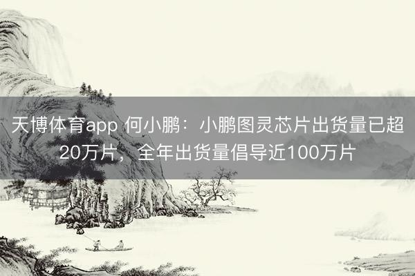 天博体育app 何小鹏：小鹏图灵芯片出货量已超20万片，全年出货量倡导近100万片