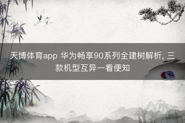 天博体育app 华为畅享90系列全建树解析, 三款机型互异一看便知