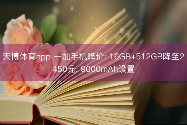 天博体育app 一加手机降价: 16GB+512GB降至2450元, 9000mAh设置