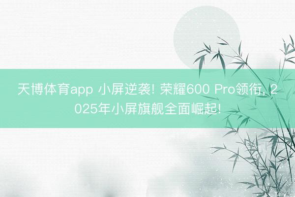 天博体育app 小屏逆袭! 荣耀600 Pro领衔, 2025年小屏旗舰全面崛起!