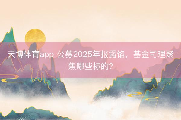 天博体育app 公募2025年报露馅，基金司理聚焦哪些标的？