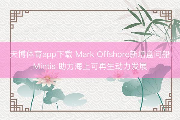 天博体育app下载 Mark Offshore新增盘问船Mintis 助力海上可再生动力发展