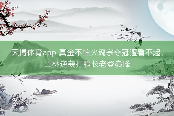 天博体育app 真金不怕火魂宗夺冠遭看不起，王林逆袭打脸长老登巅峰