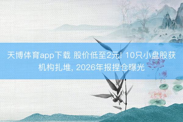 天博体育app下载 股价低至2元! 10只小盘股获机构扎堆， 2026年报捏仓曝光