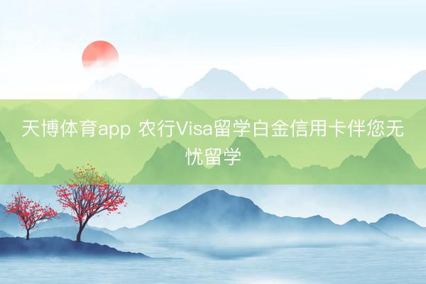 天博体育app 农行Visa留学白金信用卡伴您无忧留学