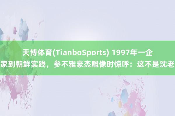 天博体育(TianboSports) 1997年一企业家到朝鲜实践，参不雅豪杰雕像时惊呼：这不是沈老嘛