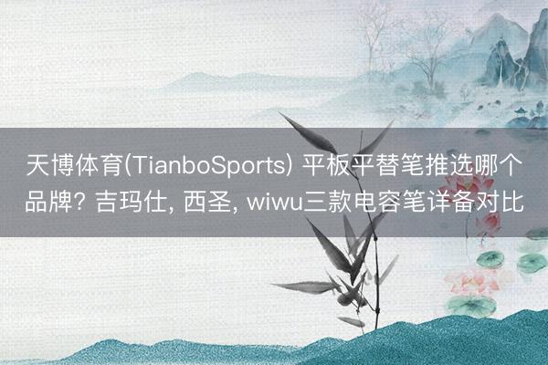 天博体育(TianboSports) 平板平替笔推选哪个品牌? 吉玛仕， 西圣， wiwu三款电容笔详备对比