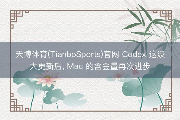 天博体育(TianboSports)官网 Codex 这波大更新后， Mac 的含金量再次进步