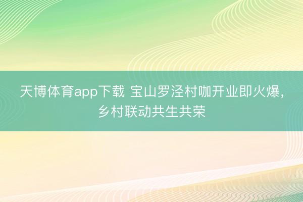 天博体育app下载 宝山罗泾村咖开业即火爆，乡村联动共生共荣