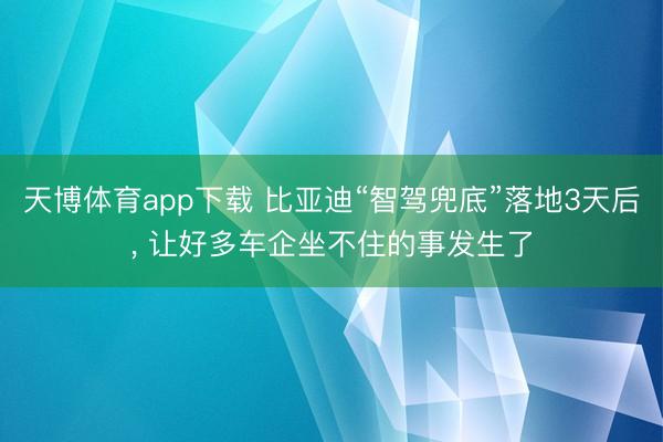 天博体育app下载 比亚迪“智驾兜底”落地3天后， 让好多车企坐不住的事发生了