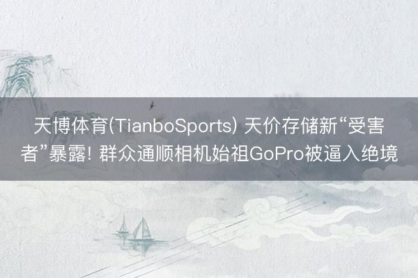 天博体育(TianboSports) 天价存储新“受害者”暴露! 群众通顺相机始祖GoPro被逼入绝境