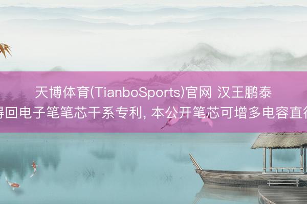天博体育(TianboSports)官网 汉王鹏泰得回电子笔笔芯干系专利， 本公开笔芯可增多电容直径