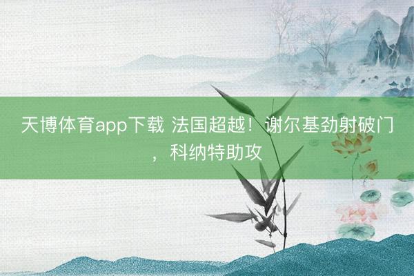 天博体育app下载 法国超越！谢尔基劲射破门，科纳特助攻
