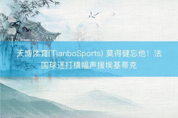 天博体育(TianboSports) 莫得健忘他！法国球迷打横幅声援埃基蒂克