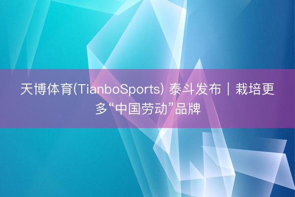 天博体育(TianboSports) 泰斗发布｜栽培更多“中国劳动”品牌