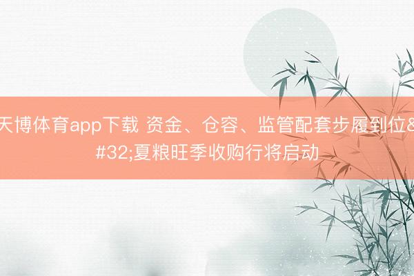 天博体育app下载 资金、仓容、监管配套步履到位 夏粮旺季收购行将启动
