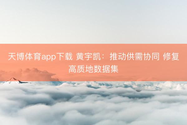 天博体育app下载 黄宇凯：推动供需协同 修复高质地数据集